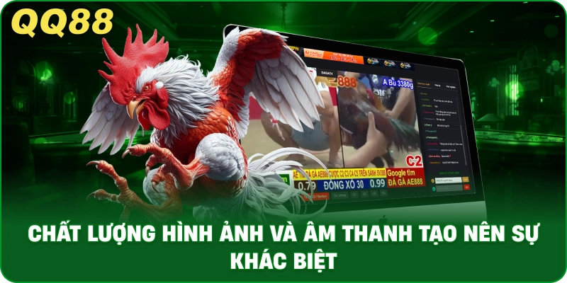 AOG Đá Gà Là Gì Và Cách Vận Hành Trong Thực Tế